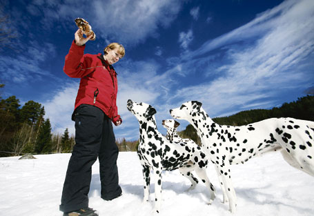 Ylva Edgren gillar prickiga hundar.<br> Foto: Maria Eilertsen